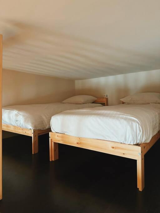 Historic Serenity Apartment Gent エクステリア 写真